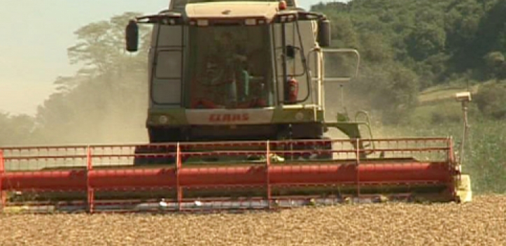 Regionale Landwirtschaft in der Diskussion