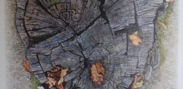 Neue Ausstellung von Gerlinde Böhnisch- Metzmacher