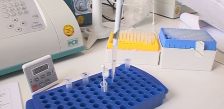 Forsche Schüler Tag am Beutenberg