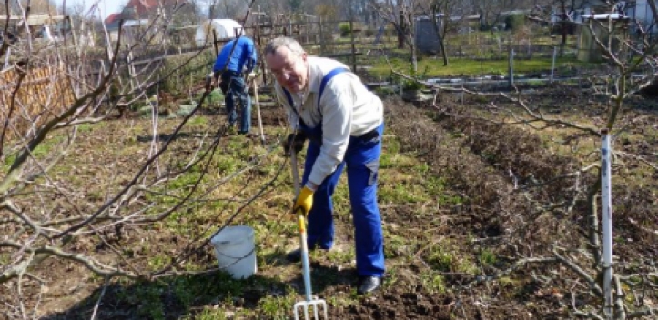 Gartenprojekt gestartet