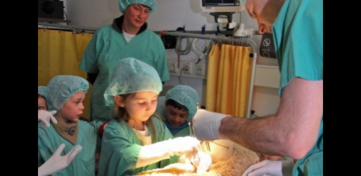 Kita-Kinder als Herzchirurgen  