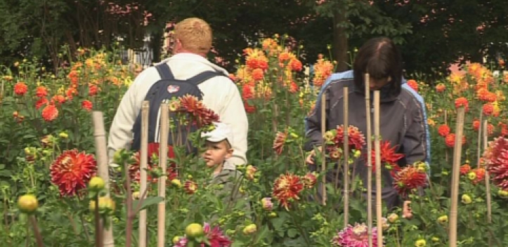 Dahliengarten Gera wird auf Saison vorbereitet