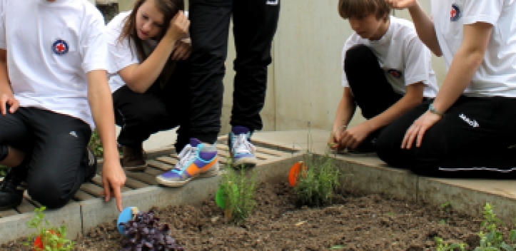 Hochbeete werden gebaut