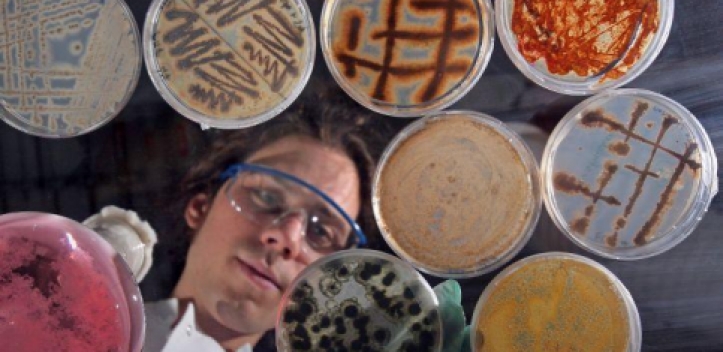 Fortführung der Exzellenzinitiative