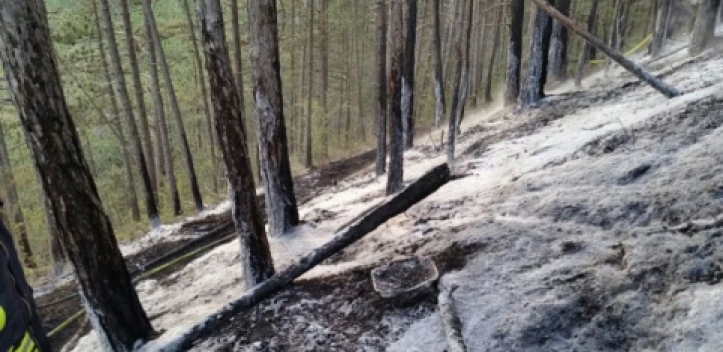 Pennickental: Waldbrand am Männertag