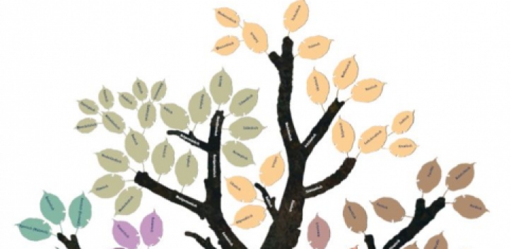 Ausstellung: „Tausend Zweige sind ein Baum“