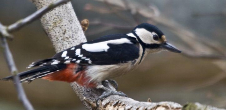 Naturschutzjugend lädt ins Naturfotocamp ein