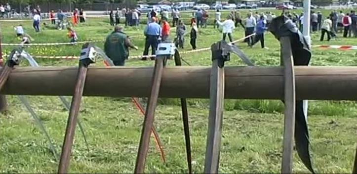 Mähen mit der Sense: Die Altenburger Futterschroter feiern in diesem Jahr ein besonderes Jubiläum