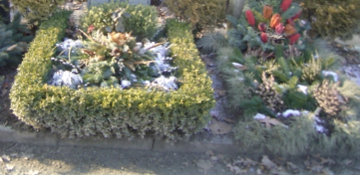 Neubau der Urnenreihenanlage am Ostfriedhof Gera 