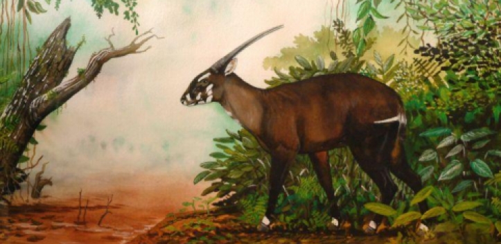 Neue Ausstellung im Bienenhaus der Uni