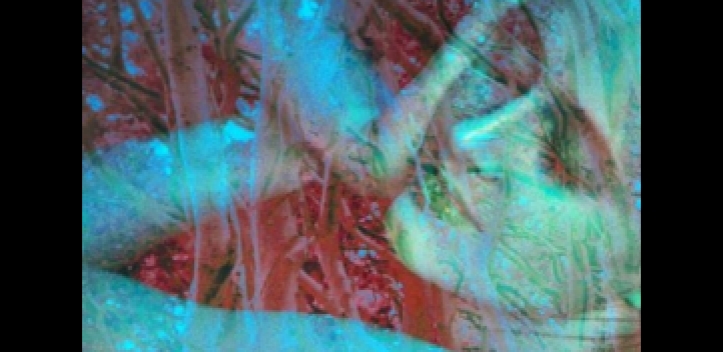 Akt und Natur: Foto-Ausstellung im Botanischen Garten