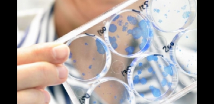 Nanomedizin gegen Krebs: EU fördert Folgeprojekt