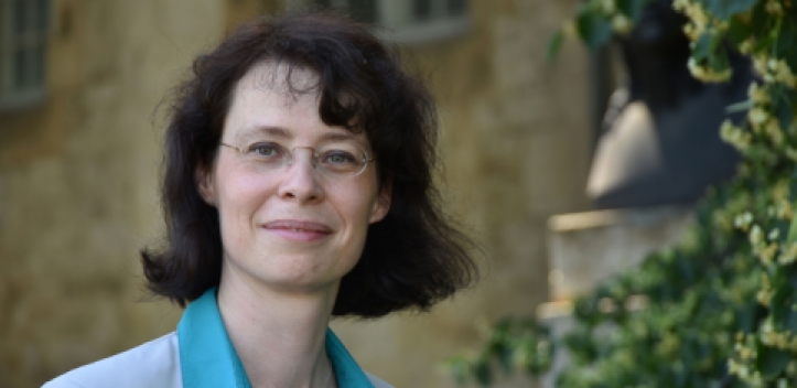 Wissenschaftsnachwuchs an der FSU ausgezeichnet