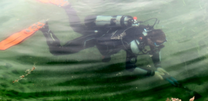 Tauchsportverein Gera räumt im Naturbad Kaimberg auf