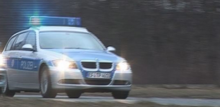 Alkoholisierter Mopedfahrer versteckt sich im Gebüsch