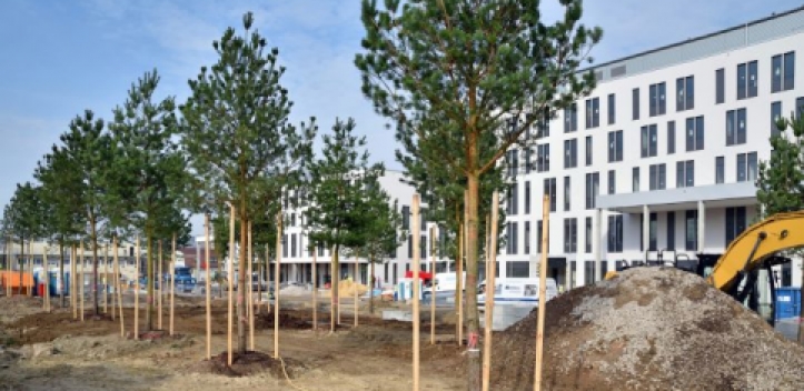 Grün für den Klinikums-Campus