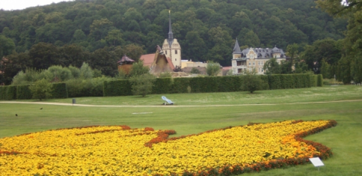 „Tag der Schöpfung“ in Gera