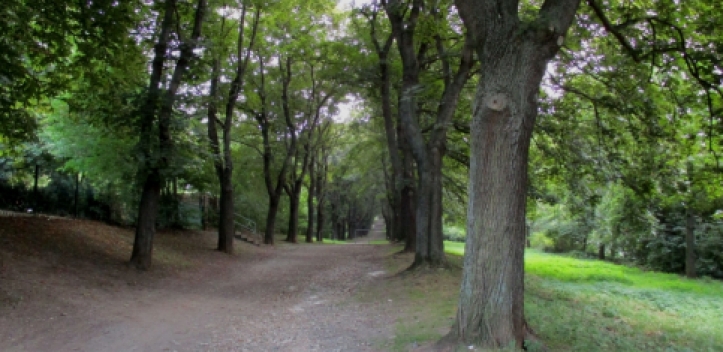 Alte Dokumente über Geraer Gartendenkmal Schreberweg gesucht
