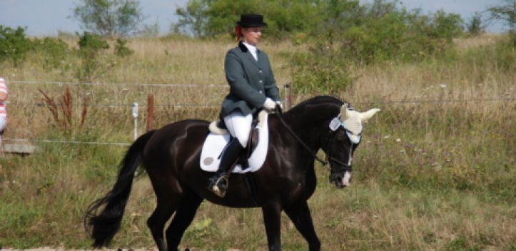 Einladung zum Reitturnier nach Cospeda