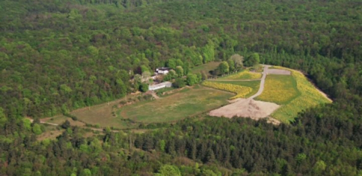 Bürgerhaushalt 2016: Ergebnisse werden präsentiert