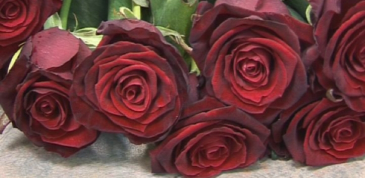 Gratulation zum 70. Hochzeitstag