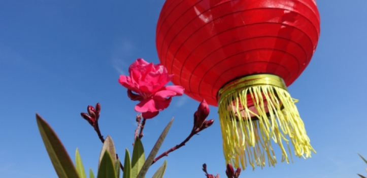 Mondfest im Paradies