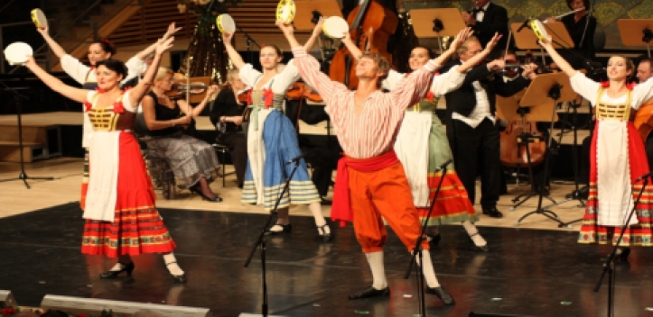 Januar 2017: Johann-Strauß-Gala im Volkshaus