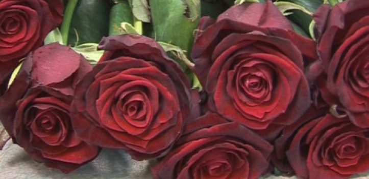 Gratulation zur Diamantenen Hochzeit