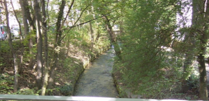 Plastikmüll aus Gewässern sammeln