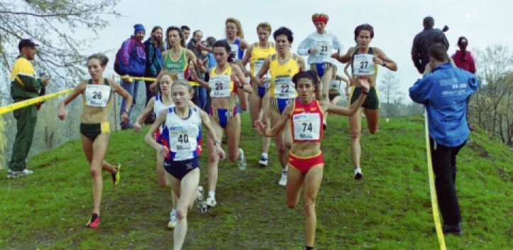 Studie zur Fortbewegung von Mensch und Vogel