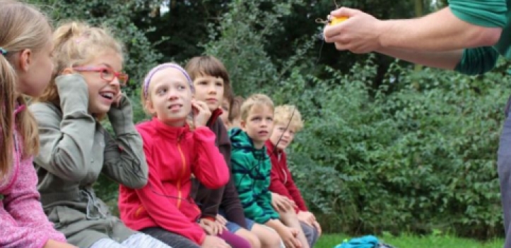 Projekttage des Sunfried e.V.