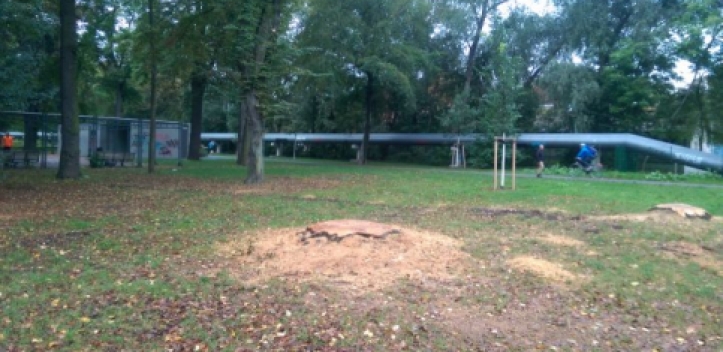 Bäume werden durch Neupflanzungen ersetzt