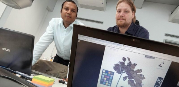 Software hilft Pflanzenvielfalt erkennen