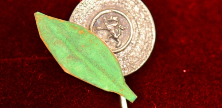 Kulturnadel des Freistaats Thüringen übergeben – auch zwei Ostthüringerinnen ausgezeichnet