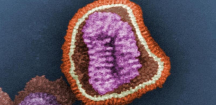 Grippe bei Krebspatienten: Lebensgefahr durch späte Diagnosen