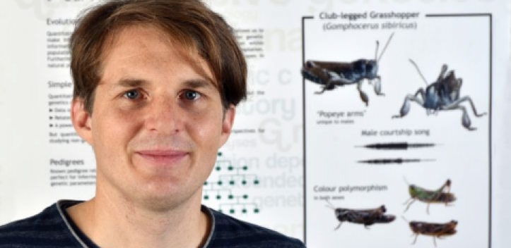 Heuschrecken: Von der Landplage zum Forschungsobjekt