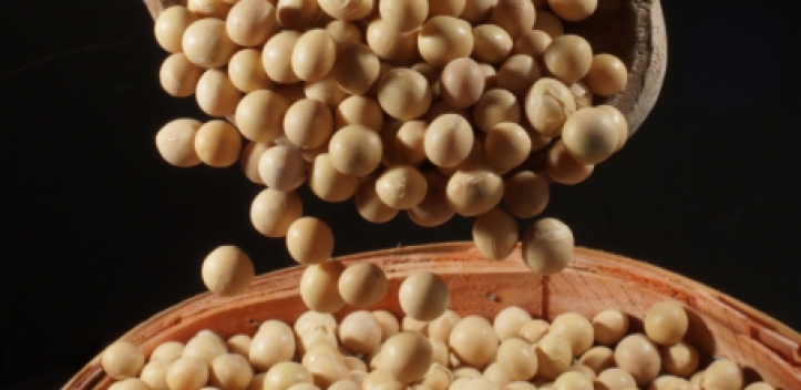 Fachtagung der Deutschen Gesellschaft für Ernährung am 10. November an der Uni Jena