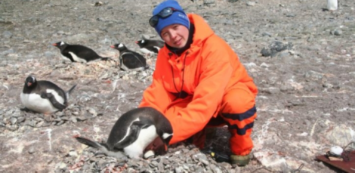 Mit Drohnen Pinguine zählen