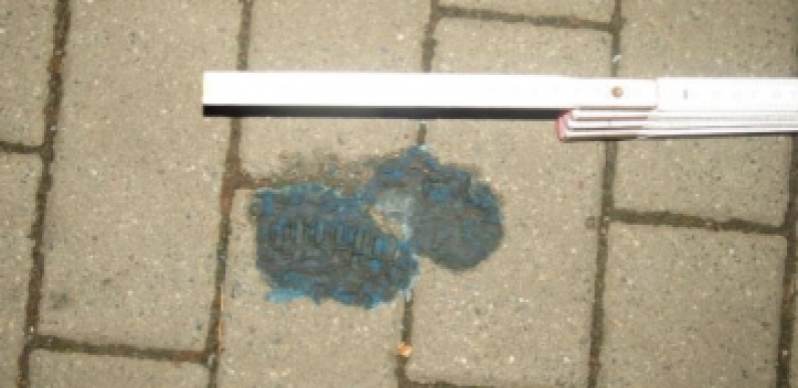 Mehrere Hunde vergiftet