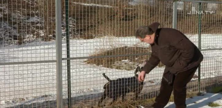 Tierheim besucht: Der Verein verhandelt mit der Stadt über die Kostenerstattung für Fundtiere