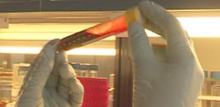 Zertifizierung für Lobedaer Praxis