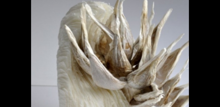 Führung durch Ausstellung des Jenaer Kunstvereins