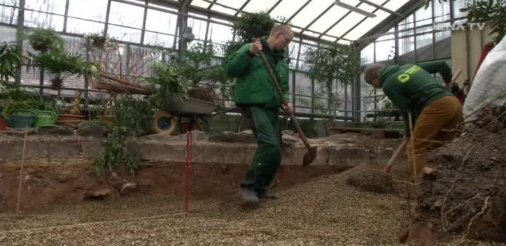 Botanischer Garten: Im Kalthaus wird nach 35 Jahren der Boden großflächig ausgetauscht