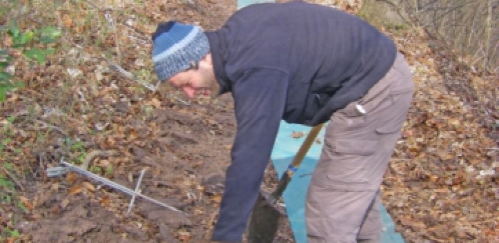 NABU: Amphibienzäune werden aufgestellt