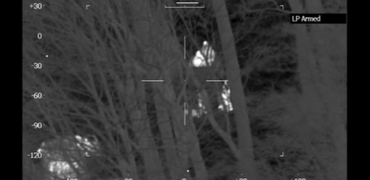 Polizei-Hubschrauber im Einsatz: Vermisster gefunden