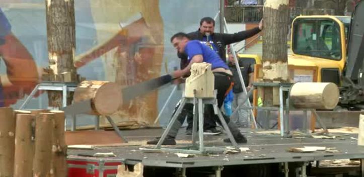 Abwechslungsreiches Programm: Der 16. Thüringer Holzmarkt lädt am Samstag nach Jena ein