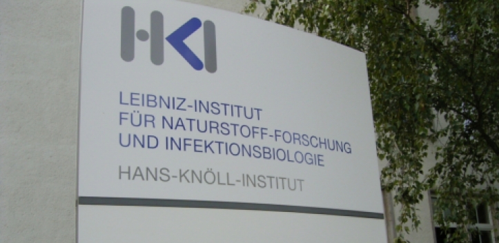 Neu entdecktes Pilzgift ist „Leibniz-Wirkstoff des Jahres“ 