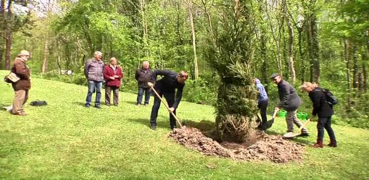 Ausgewählt: Auf dem Nordfriedhof wurde mit der Fichte der „Baum des Jahres“ gepflanzt