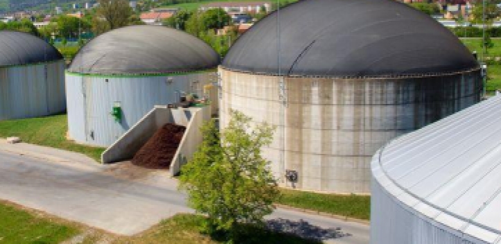 Jubiläum für Regionale Aktionsgruppe Saale-Holzland 