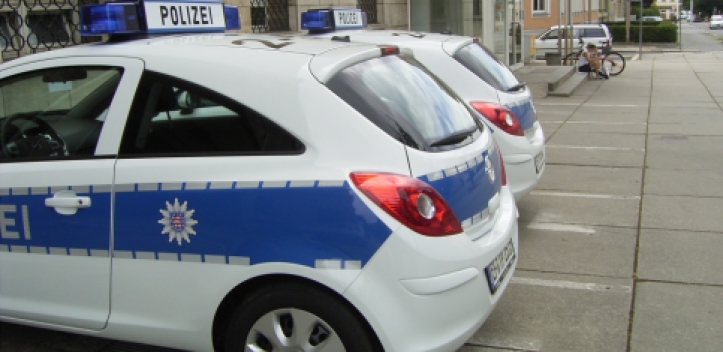 Hund bei Mittagshitze im Auto eingeschlossen